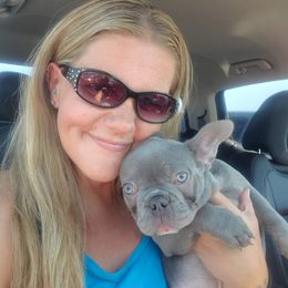 Emmie - French Bulldog puppy in Redmond, Oregon from Rock Ridge Frenchies