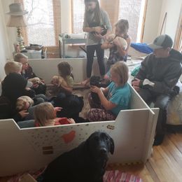 Labrador Retriever Puppies from Darby Trim's Labrador Retrievers