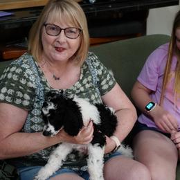 Poodle Puppies from Furball Forest Poodles