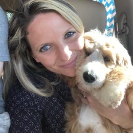 Goldendoodle All Grown Up from Blushing Doodles