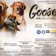 Goose