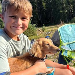 Dachshunds from Pint Size Pup