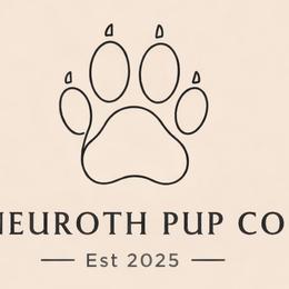 Australian Shepherds, Cockapoos, and Poodles from Taylor Neuroth