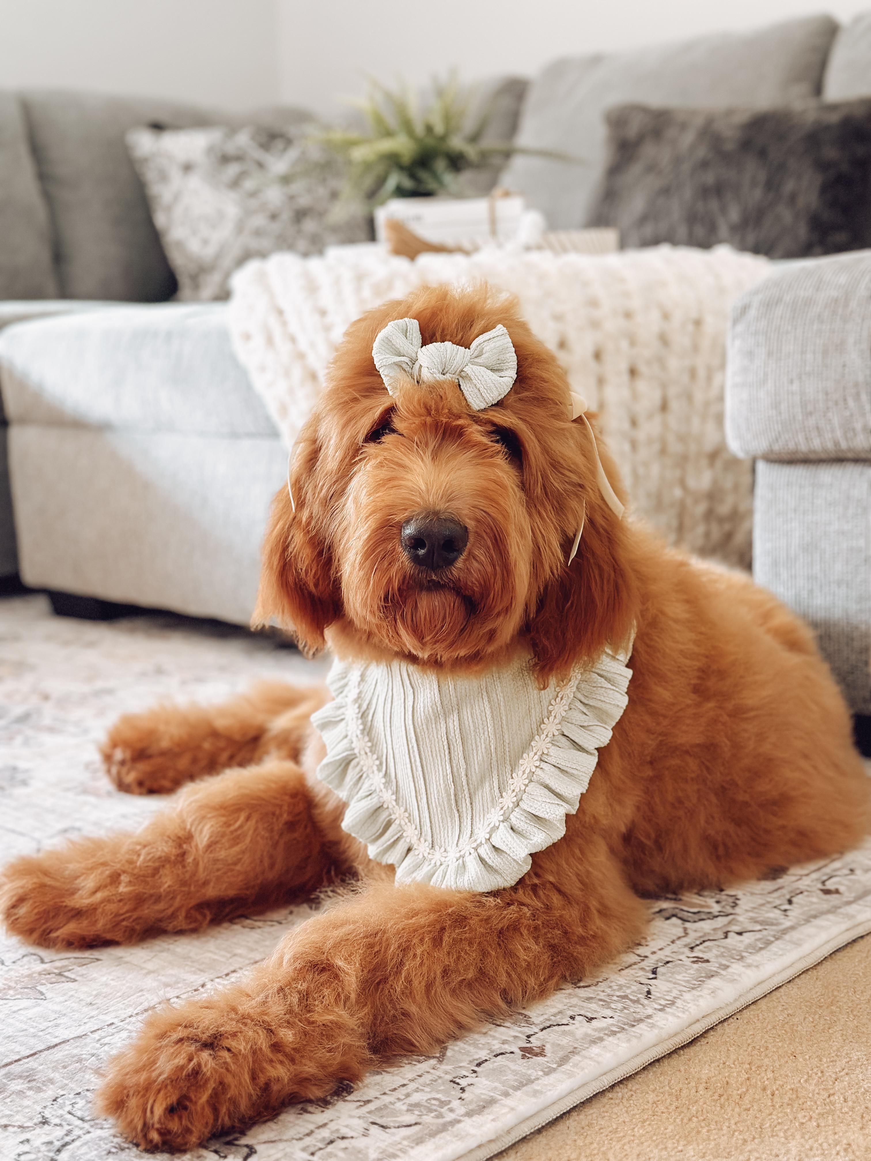 Esther