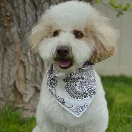 Bernedoodles, Goldendoodles, Poodles, and Sheepadoodles from Dapper Doodle Pups