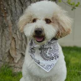 Bernedoodles, Goldendoodles, Poodles, and Sheepadoodles from Dapper Doodle Pups