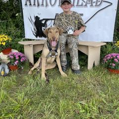 Sora - Chesapeake Bay Retriever