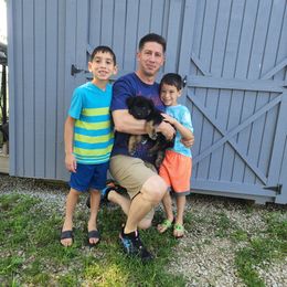 German Shepherd Puppies from Von Hoene Heritage Shepherds