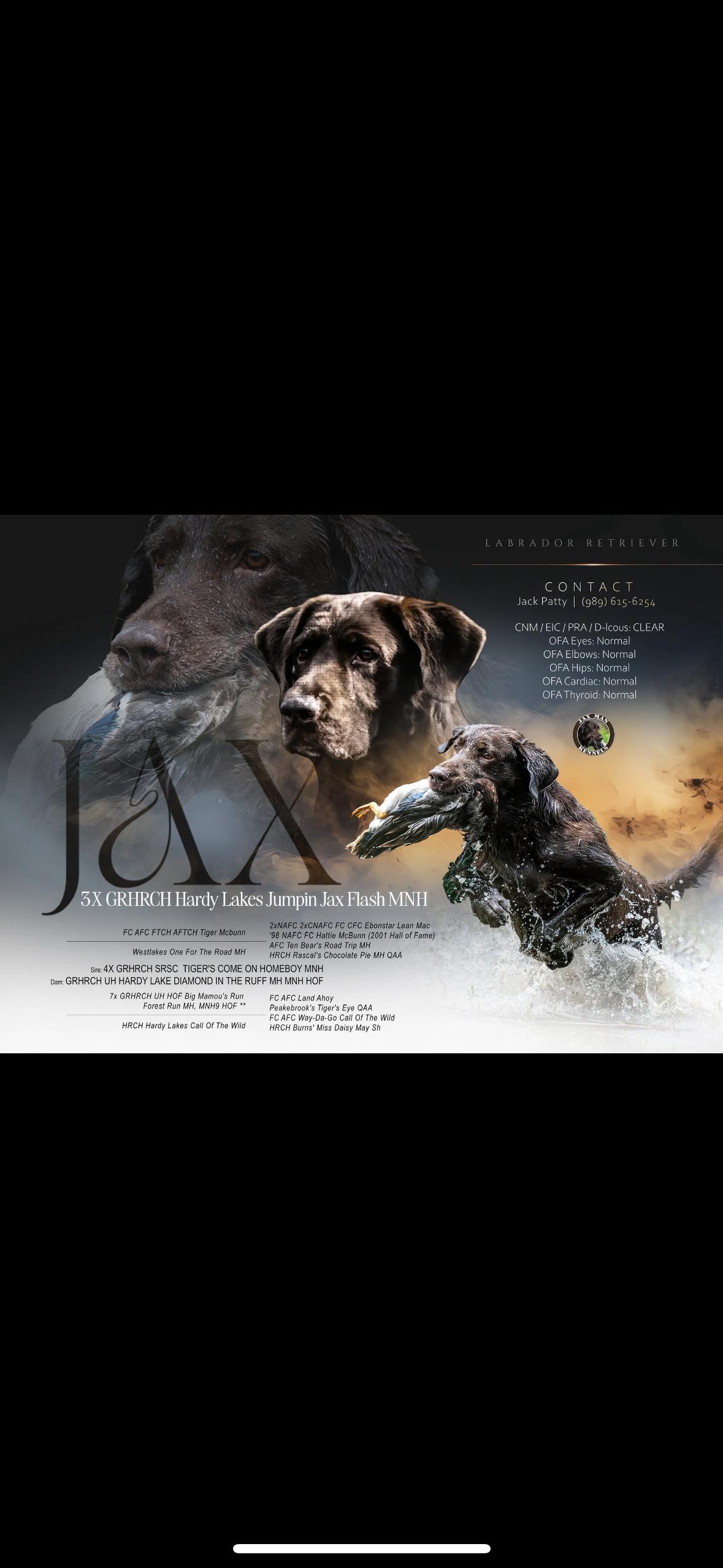 Jax