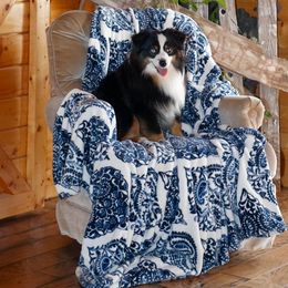 Focus - Toy Australian Shepherd