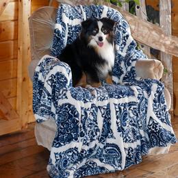 Focus - Toy Australian Shepherd