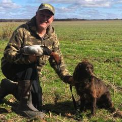Boykin Spaniel All Grown Up from Cavern Kennels