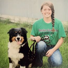 penny  - Australian Shepherd