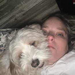Lulu - Cavapoo