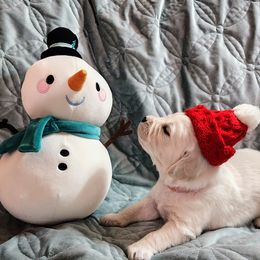 Golden Retriever puppies from Dandelion Meadows Farm