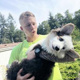 ALonzo - American Corgi