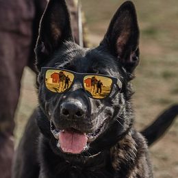 Bira - German Shepherd