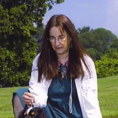 English Toy Spaniels from Sanchi