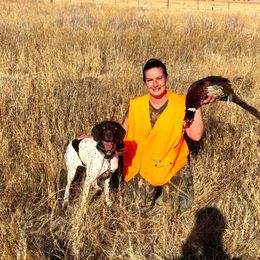 German Shorthaired Pointers from Durfee GSP's