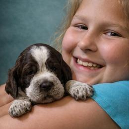 Mango - Liver white and roan male English Springer Spaniel puppy in Florida from Thunderbird Springers