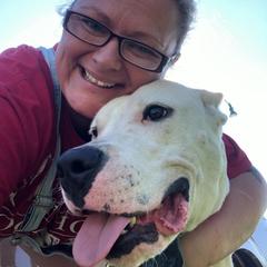 Lilly - Dogo Argentino