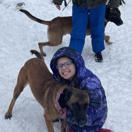 Belgian Malinois from Gillis Malinois