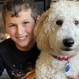 Blaze - Goldendoodle