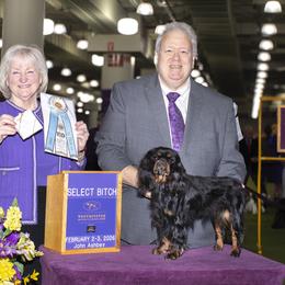 Regina - English Toy Spaniel