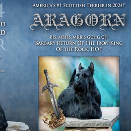 Scottish Terriers from Scottish Terriers at The Rock