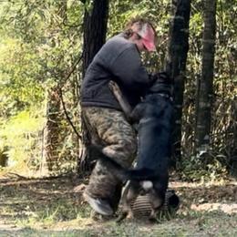Thor - German Shepherd