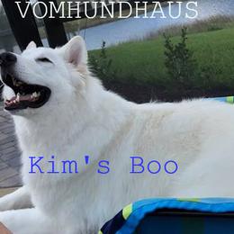 Berger Blanc Suisse and German Shepherd Puppies from Vom Hundhaus German Shepherds