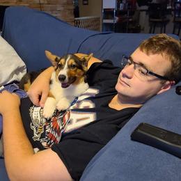 Pembroke Welsh Corgi Puppies from Dream Catcher Corgis