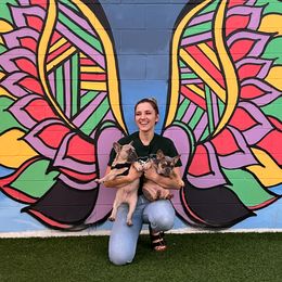 French Bulldogs from 904Frenchies