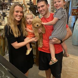 Goldendoodle Puppies from Labradoodleday