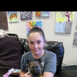 German Shepherd Puppies from Rammstein Kennels