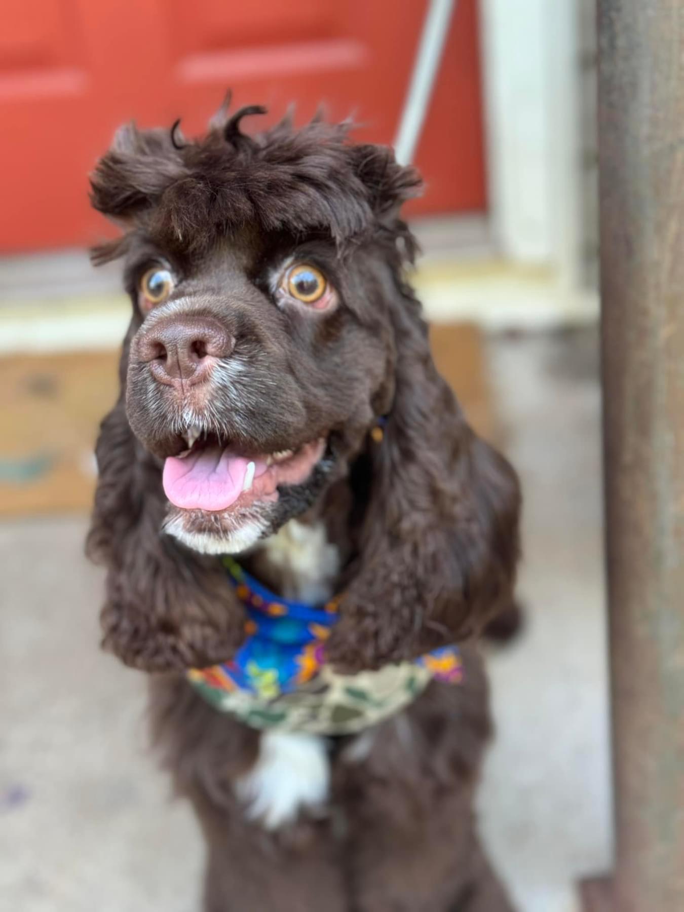Odin