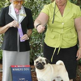 Pugs from WindWalker Pugs