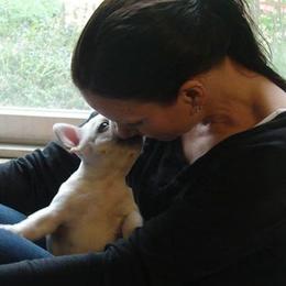 French Bulldogs from DavisK French Bulldogs