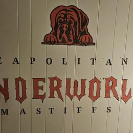 Neapolitan Mastiffs from Underworld neapolitan Mastiffs