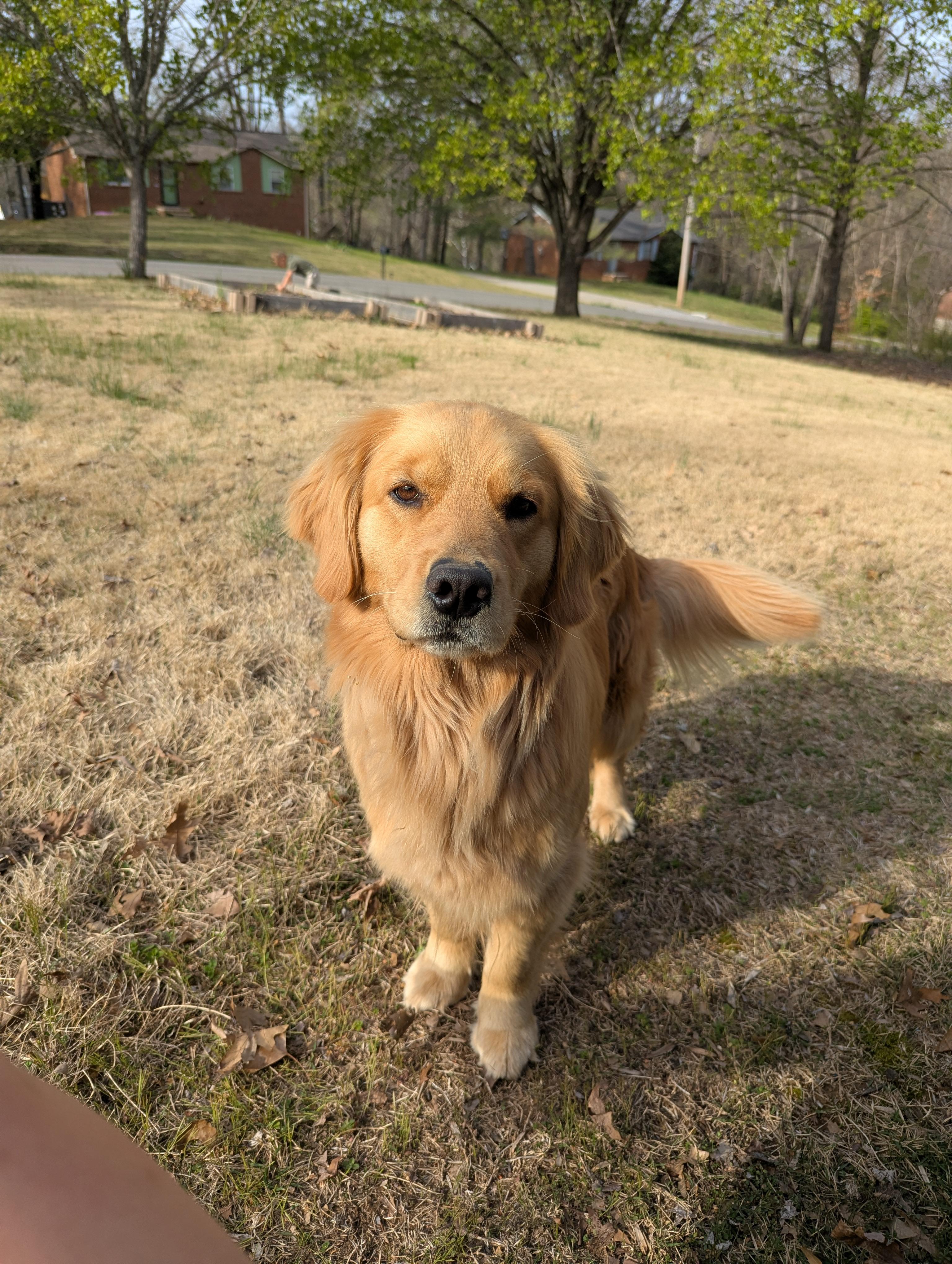 Isla