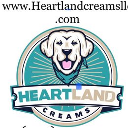 Green boy - Light golden male Golden Retriever puppy in Pendleton, Indiana from Heartland Creams Golden Retrievers