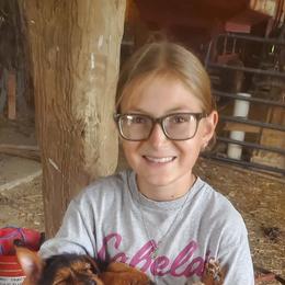 Boy 1 - Black and tan male Australian Terrier puppy in Bedford, Pennsylvania from Heit Farm