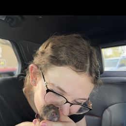 Lagotto Romagnolo Puppies from Anna’s Lagottos