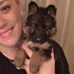 Solara Belle Nuit Elite Von Haus (Magenta Collar) - Black and red female German Shepherd puppy in Grants Pass, Oregon from Elite Von Haus German Shepherds