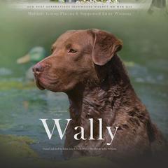 Wally - Chesapeake Bay Retriever