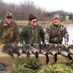 Chesapeake Bay Retrievers from Pond Hollow Chesapeakes