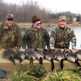 Chesapeake Bay Retrievers from Pond Hollow Chesapeakes