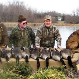Chesapeake Bay Retrievers from Pond Hollow Chesapeakes