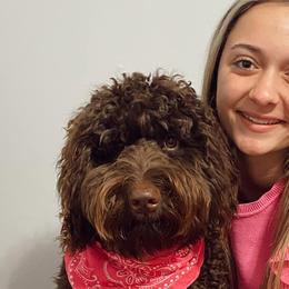 Aussiedoodles, Bernedoodles, Goldendoodles, Poodles, and Sheepadoodles from Kitandkboodle's Doodles