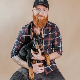 Doberman Pinscher Puppies from Defensive Dobermans